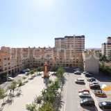   Alicante 5496386 thumb4