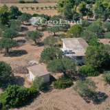  For Sale - (€ 0 / m2), Agricultural 6012 m2 Kranidi 7996063 thumb6