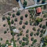  For Sale - (€ 0 / m2), Agricultural 6012 m2 Kranidi 7996063 thumb2
