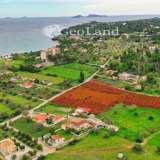 For Sale - (€ 0 / m2), Agricultural 11400 m2 Kranidi 7996064 thumb5