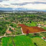  For Sale - (€ 0 / m2), Agricultural 11400 m2 Kranidi 7996064 thumb3