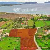  For Sale - (€ 0 / m2), Agricultural 11400 m2 Kranidi 7996064 thumb7