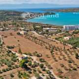  For Sale - (€ 0 / m2), Agricultural 5000 m2 Kranidi 7997402 thumb8