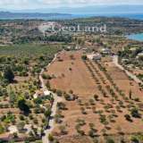  For Sale - (€ 0 / m2), Agricultural 5000 m2 Kranidi 7997402 thumb9
