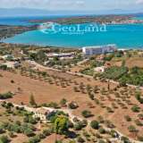  For Sale - (€ 0 / m2), Agricultural 5000 m2 Kranidi 7997402 thumb7