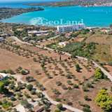 For Sale - (€ 0 / m2), Agricultural 5000 m2 Kranidi 7997402 thumb0