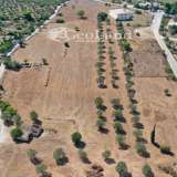  For Sale - (€ 0 / m2), Agricultural 17000 m2 Kranidi 7997403 thumb6