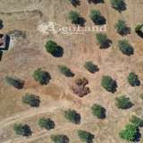  For Sale - (€ 0 / m2), Agricultural 17000 m2 Kranidi 7997403 thumb5