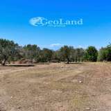  For Sale - (€ 0 / m2), Agricultural 27000 m2 Kranidi 7997404 thumb6