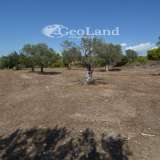  For Sale - (€ 0 / m2), Agricultural 27000 m2 Kranidi 7997404 thumb5