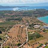  For Sale - (€ 0 / m2), Agricultural 27000 m2 Kranidi 7997404 thumb2