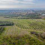 For Sale - (€ 0 / m2), Agricultural 9700 m2 Orfano 8097422 thumb2