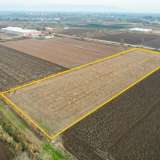  For Sale - (€ 0 / m2), Agricultural 7733 m2 Drama 8097441 thumb7