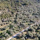  For Sale - (€ 0 / m2), Agricultural 284.18 m2 Thasos 8097451 thumb8