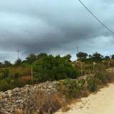   Mexilhoeira Grande (Zachód Algarve) 8197460 thumb6