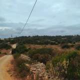   Mexilhoeira Grande (Zachód Algarve) 8197460 thumb8