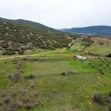  For Sale - (€ 0 / m2), Agricultural 5500 m2 Drama 8097467 thumb3
