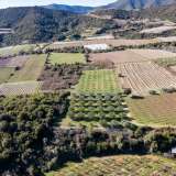  For Sale - (€ 0 / m2), Agricultural 6000 m2 Eleftheres 8097513 thumb9