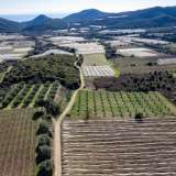  For Sale - (€ 0 / m2), Agricultural 6000 m2 Eleftheres 8097513 thumb0