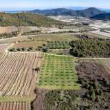  For Sale - (€ 0 / m2), Agricultural 6000 m2 Eleftheres 8097513 thumb4