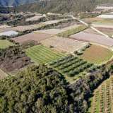  For Sale - (€ 0 / m2), Agricultural 6000 m2 Eleftheres 8097513 thumb7