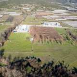  For Sale - (€ 0 / m2), Agricultural 4755 m2 Eleftheres 8097514 thumb0