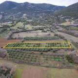  For Sale - (€ 0 / m2), Agricultural 4200 m2 Chrisoupoli 8097528 thumb9