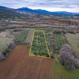  For Sale - (€ 0 / m2), Agricultural 4200 m2 Chrisoupoli 8097528 thumb6