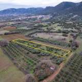  For Sale - (€ 0 / m2), Agricultural 4200 m2 Chrisoupoli 8097528 thumb8