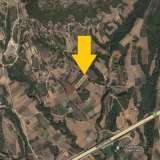  For Sale - (€ 0 / m2), Agricultural 4200 m2 Chrisoupoli 8097528 thumb1