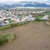  For Sale - (€ 0 / m2), Agricultural 4062 m2 Kavala 8097533 thumb5