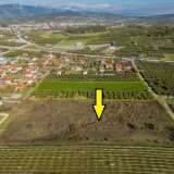  For Sale - (€ 0 / m2), Agricultural 5000 m2 Orfano 8097539 thumb7