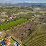  For Sale - (€ 0 / m2), Agricultural 5000 m2 Orfano 8097539 thumb6