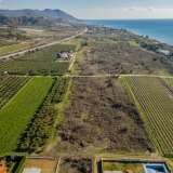  For Sale - (€ 0 / m2), Agricultural 5000 m2 Orfano 8097539 thumb5