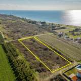  For Sale - (€ 0 / m2), Agricultural 5000 m2 Orfano 8097539 thumb2