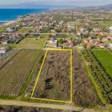  For Sale - (€ 0 / m2), Agricultural 5000 m2 Orfano 8097539 thumb9