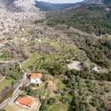  For Sale - (€ 0 / m2), Agricultural 14922 m2 Thasos 8097550 thumb7