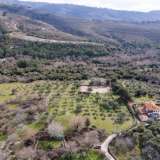  For Sale - (€ 0 / m2), Agricultural 14922 m2 Thasos 8097550 thumb5