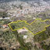  For Sale - (€ 0 / m2), Agricultural 14922 m2 Thasos 8097550 thumb0