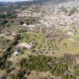 For Sale - (€ 0 / m2), Agricultural 14922 m2 Thasos 8097550 thumb8