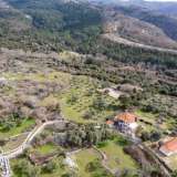  For Sale - (€ 0 / m2), Agricultural 14922 m2 Thasos 8097550 thumb6