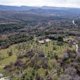  For Sale - (€ 0 / m2), Agricultural 14922 m2 Thasos 8097550 thumb4