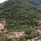  For Sale - (€ 0 / m2), Agricultural 5275 m2 Thasos 8097572 thumb2
