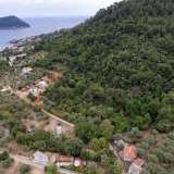  For Sale - (€ 0 / m2), Agricultural 5275 m2 Thasos 8097572 thumb3