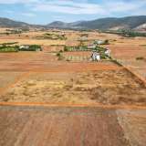  For Sale - (€ 0 / m2), Agricultural 3895 m2 Drama 8097581 thumb2