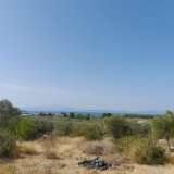  For Sale - (€ 0 / m2), Agricultural 2088 m2 Thasos 8097599 thumb0