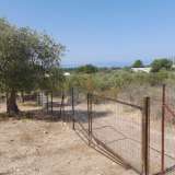  For Sale - (€ 0 / m2), Agricultural 2088 m2 Thasos 8097599 thumb2