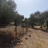  For Sale - (€ 0 / m2), Agricultural 2088 m2 Thasos 8097599 thumb3