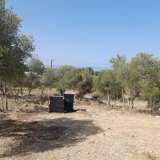  For Sale - (€ 0 / m2), Agricultural 2088 m2 Thasos 8097599 thumb9