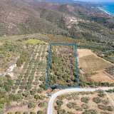  For Sale - (€ 0 / m2), Agricultural 9000 m2 Eleftheres 8097613 thumb8
